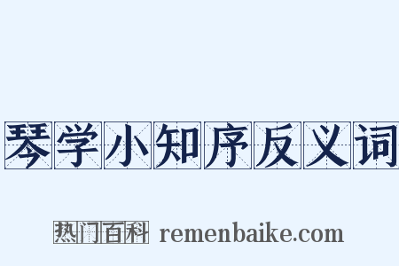 琴学小知序反义词是什么意思的图片